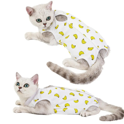 Post-Surgery Recovery Jumpsuit for Cats & Small Dogs