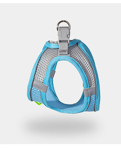 Small Dog Harness and Leash Set
