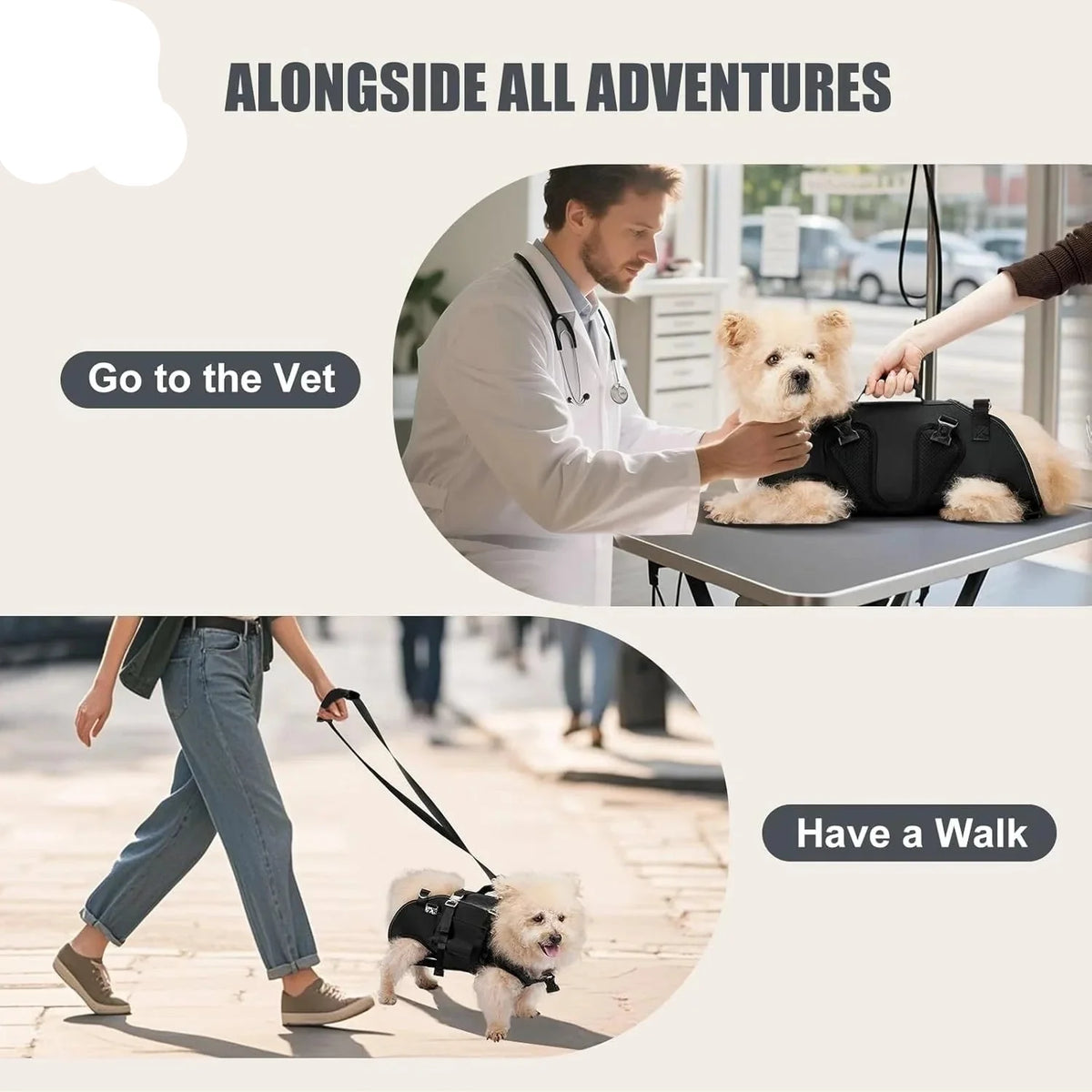 5-in-1 Dog Lift Harness & Sling Carrier with Spine Support