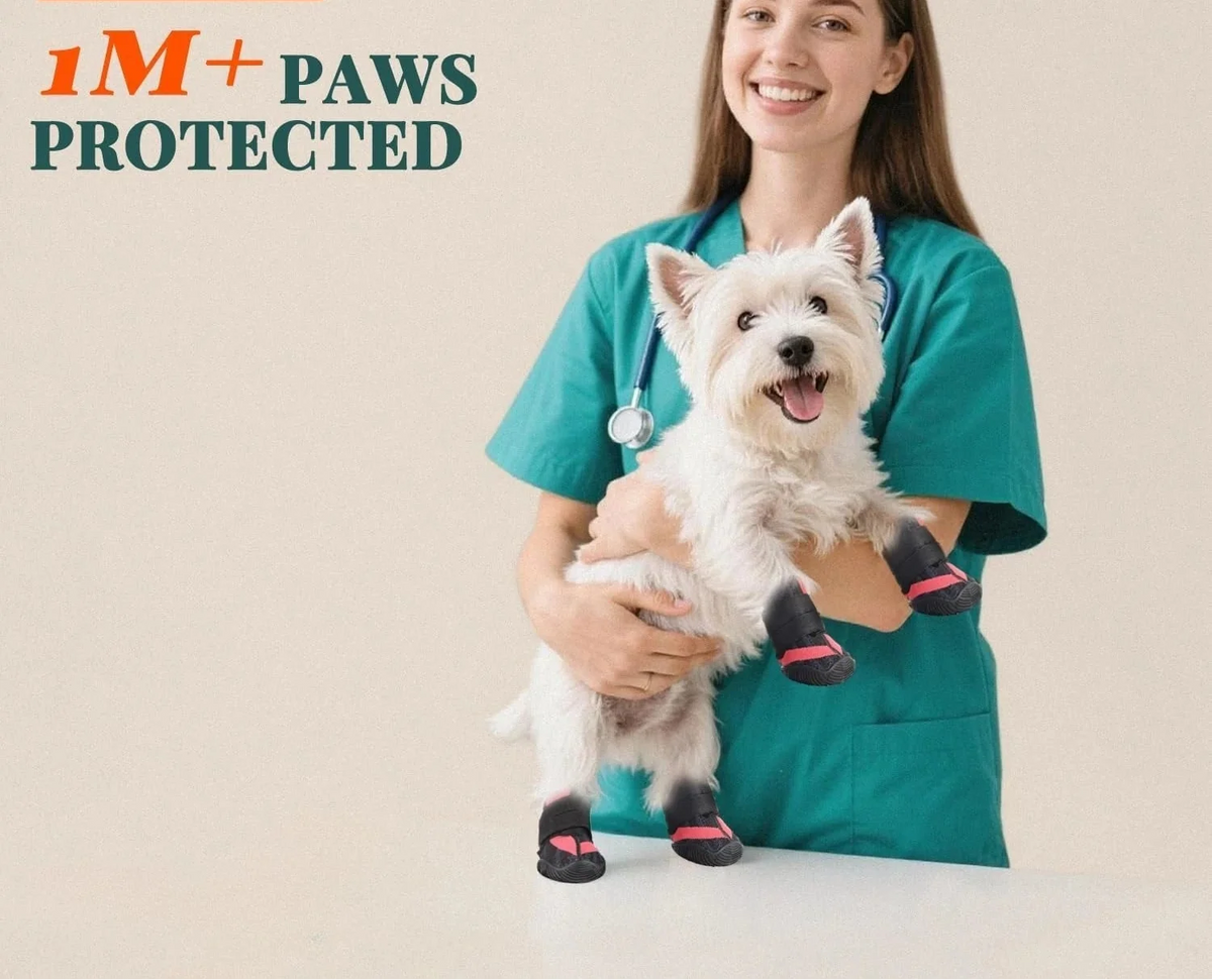 Summer Dog Boots for Hot Pavement Protection