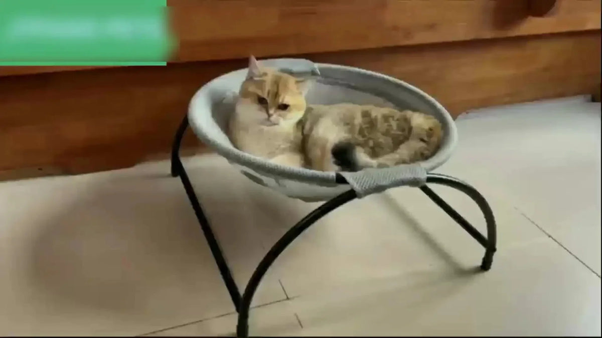 Elevated Pet Hammock Bed - Free-Standing Metal Frame with Breathable Fabric