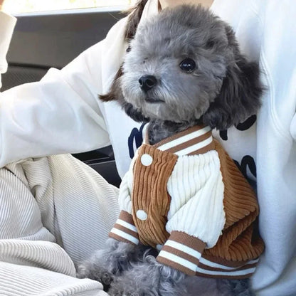 Warm Dog Sweater Vest - Striped Autumn Winter Clothing for Small Dogs