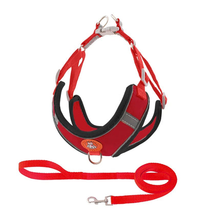 Breathable Reflective Dog Harness - Adjustable for Small Dogs & Puppies