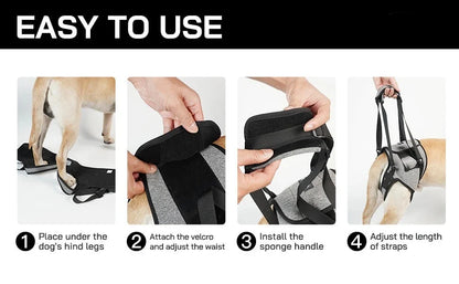 Rear Support Dog Lift Harness for Elderly, Injured & Arthritic Dogs