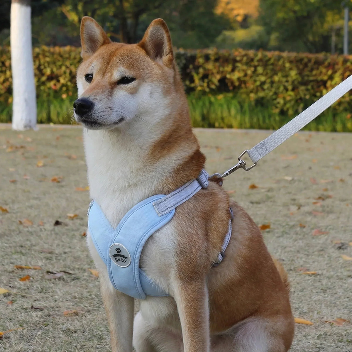 Reflective X-Shape Dog Harness & Leash Set | Adjustable Quick-Release Vest for Small & Medium Dogs