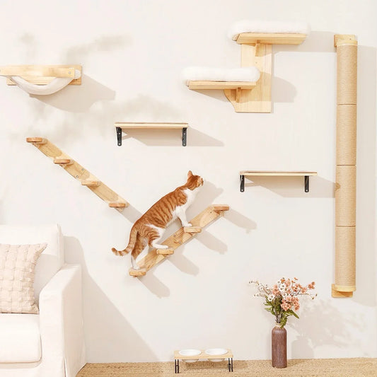 Wall-Mounted Cat Climbing Shelf & Hammock Set