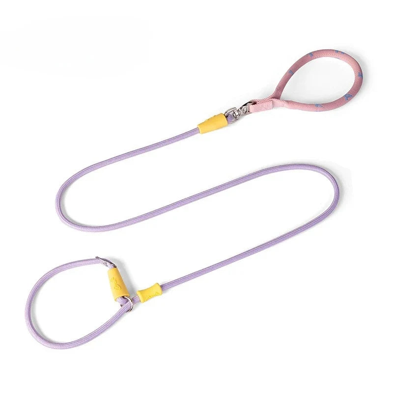 Nylon P-Chain Slip Lead & Collar for Small Dogs