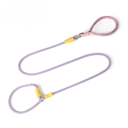 Nylon P-Chain Slip Lead & Collar for Small Dogs