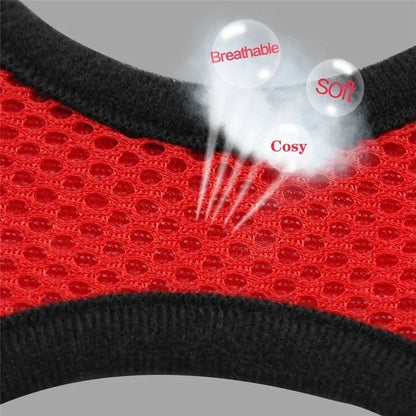 Breathable Mesh Vest Harness & Lead Set for Small to Medium Cats and Dogs