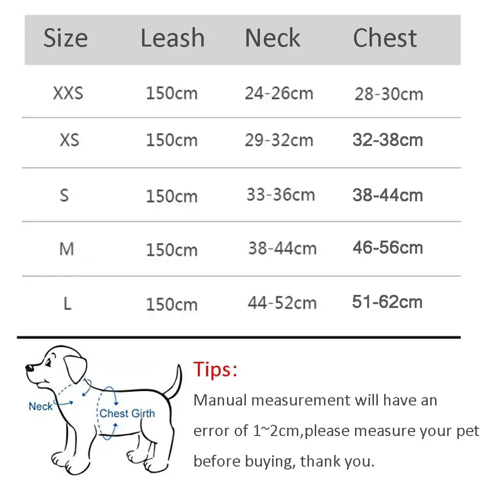 Small Dog Harness and Leash Set