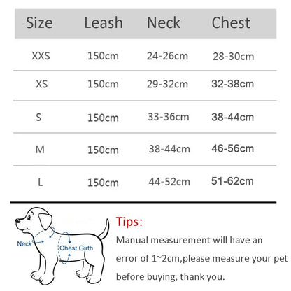 Small Dog Harness and Leash Set