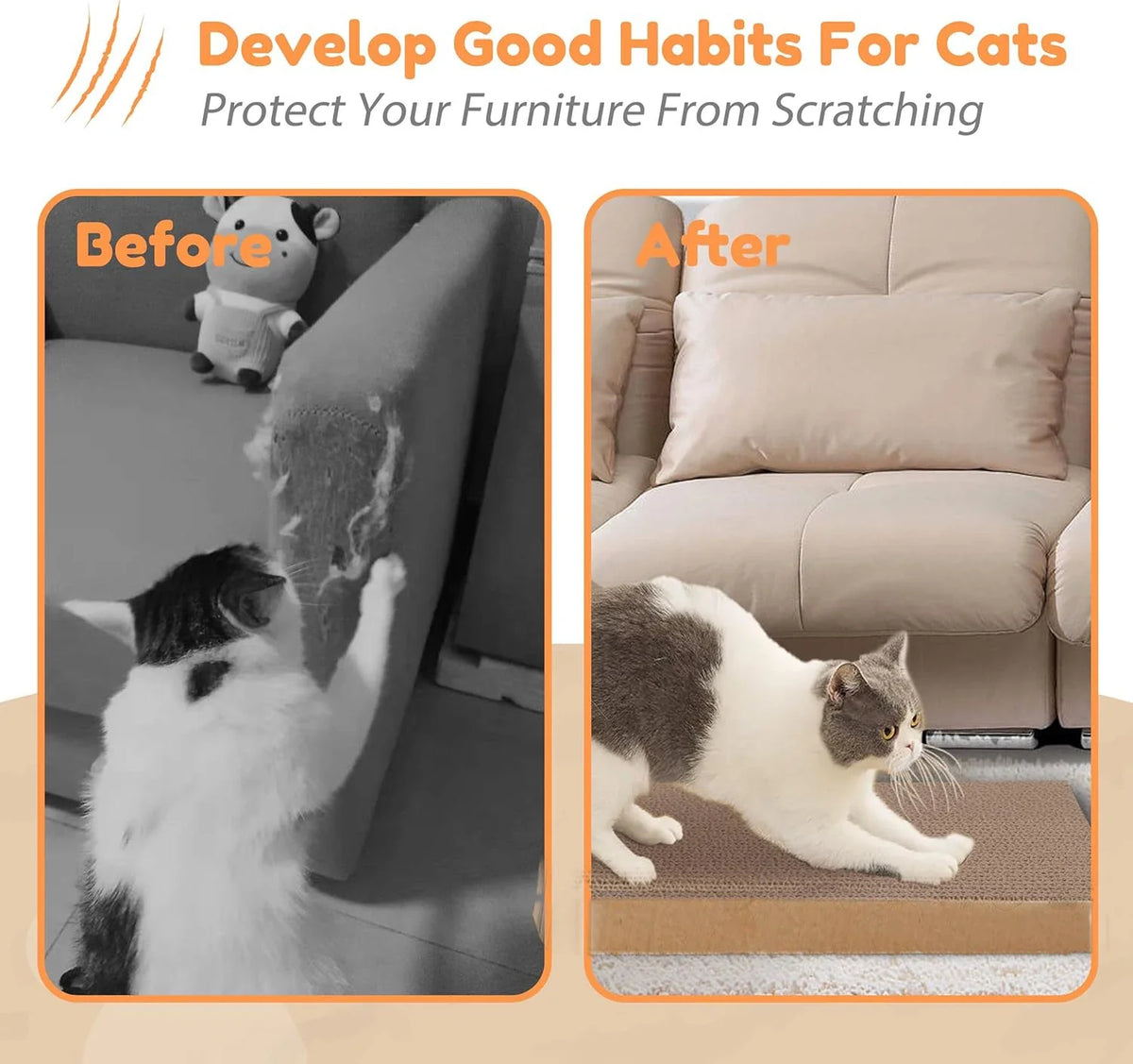 Cardboard Cat Scratching Pad & Bed Combo