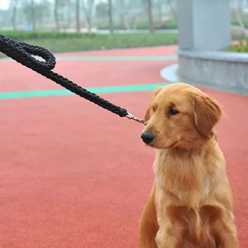 Heavy-Duty Nylon Dog Lead (130cm)