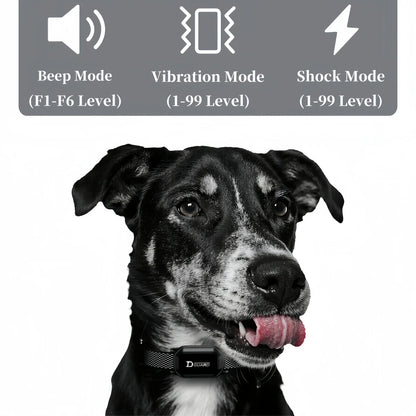 Digital Remote Dog Training Collar — 800m Range, LCD Display & Waterproof