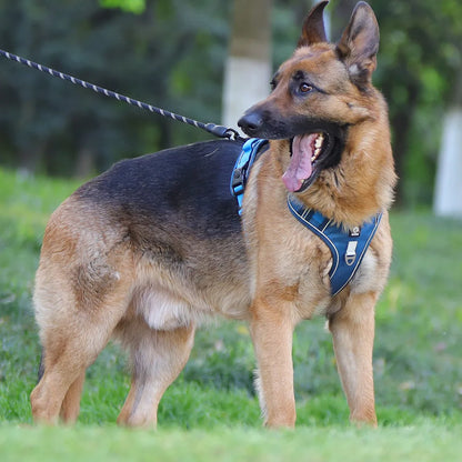 3M Reflective Padded Dog Harness Vest