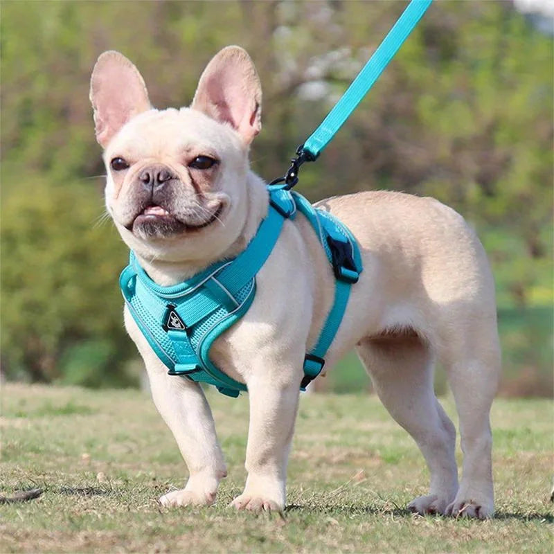 No-Pull Reflective Pet Harness and Leash Set