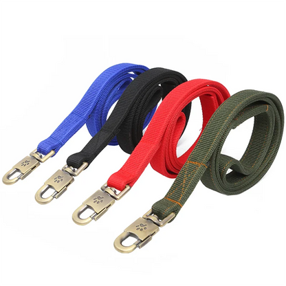 Heavy Duty Nylon Dog Leash & Collar Set