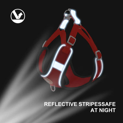 Breathable Reflective Dog Harness - Adjustable for Small Dogs & Puppies