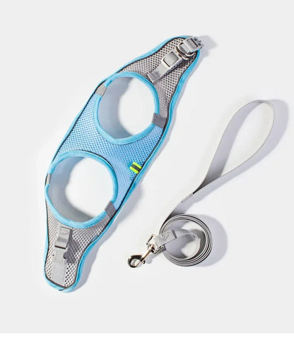 Small Dog Harness and Leash Set