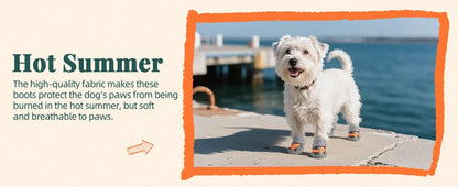Summer Dog Boots for Hot Pavement Protection