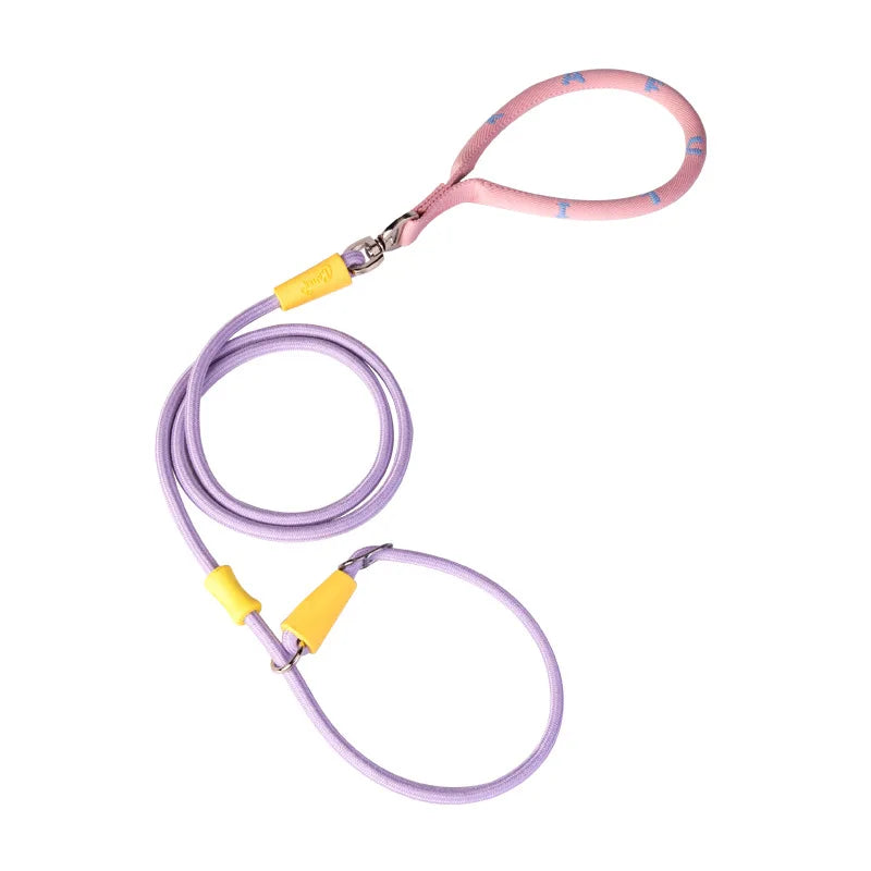 Nylon P-Chain Slip Lead & Collar for Small Dogs