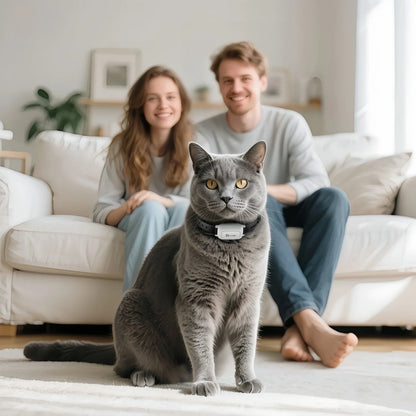 Anti-Meow Vibration Training Collar for Cats