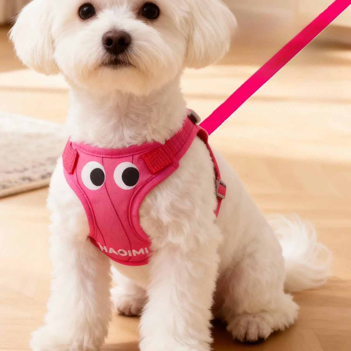 Breathable Reflective Dog Harness & Leash Set for Small Dogs