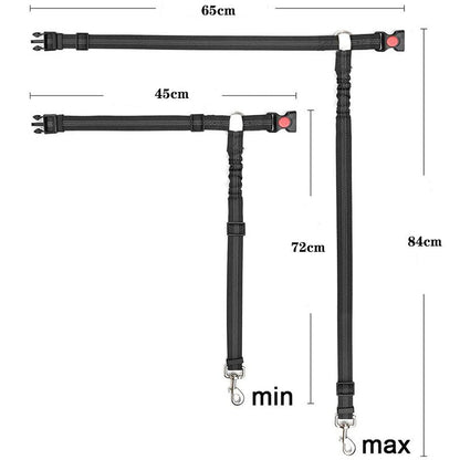 Reflective Dog Car Seat Belt and Walking Leash for Small Dogs
