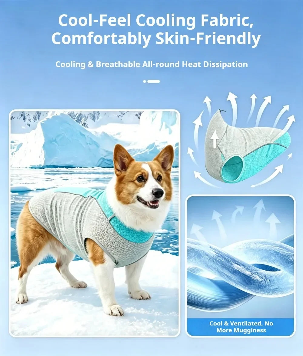 Ice Pack Cooling Vest for Small & Medium Dogs