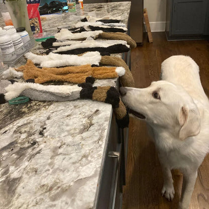 Stuffing-Free Squeaky Dog Toy with Crinkle