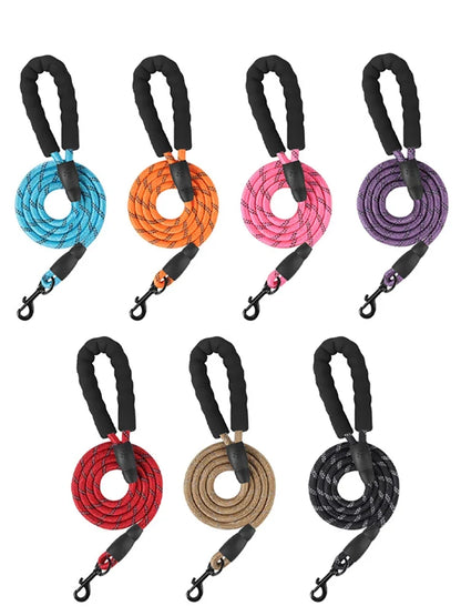 Reflective Dog Leash with Poop Bag Dispenser