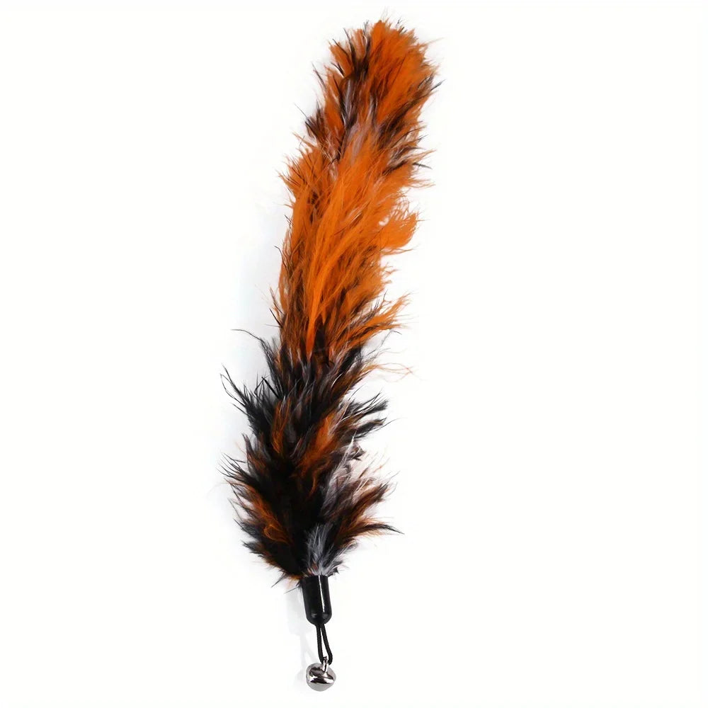 Retractable Cat Wand 11-Pack Set with Bells