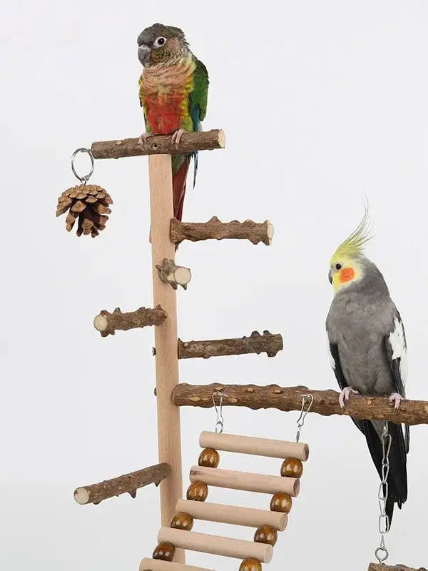 Natural Wood Parrot Climbing Frame with Swing, Ladder & Suspension Bridge