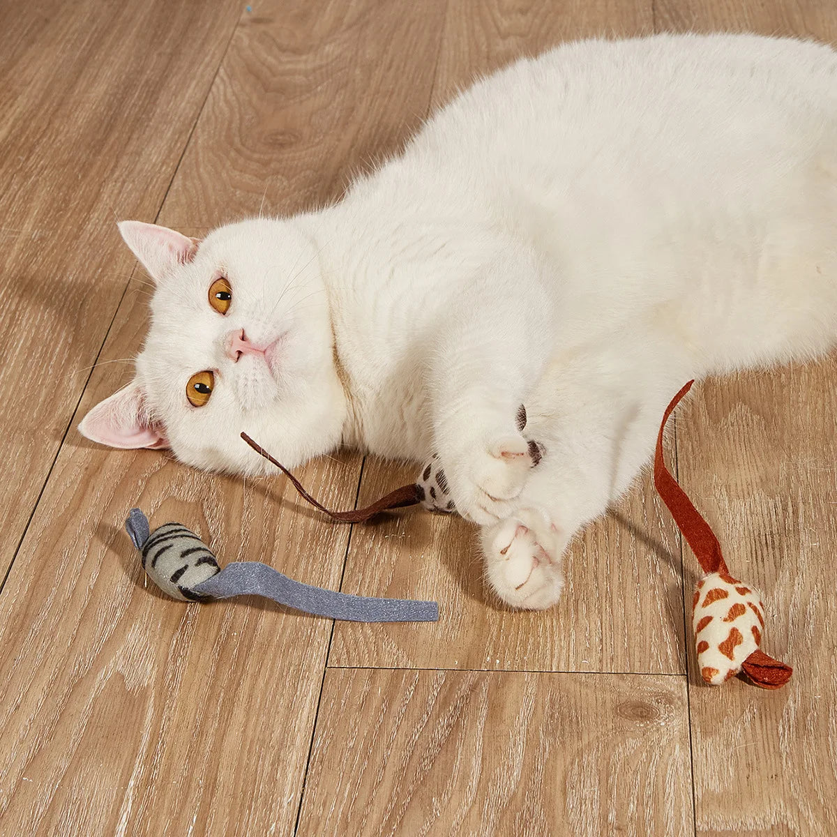 Catnip Mouse Toys with Rattle