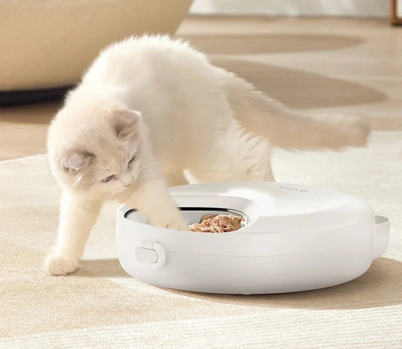 Wireless Automatic Pet Feeder with 6-Meal Capacity and Smart LED Touch Control