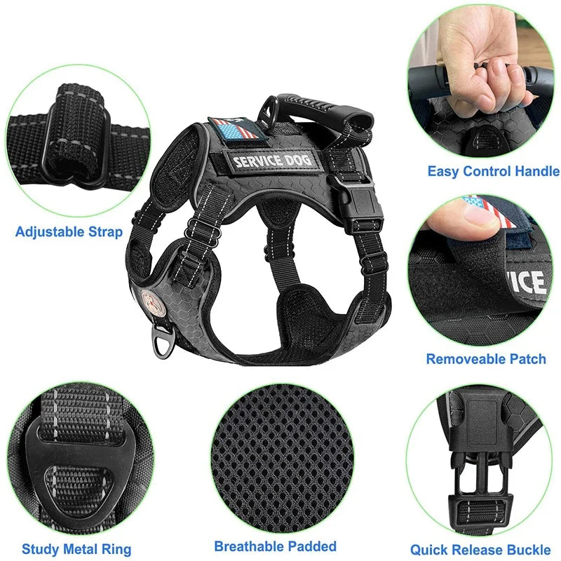 Dog Harness Set — Chest Vest, Shock-Absorbing Lead, Folding Bowl & Waste Bags