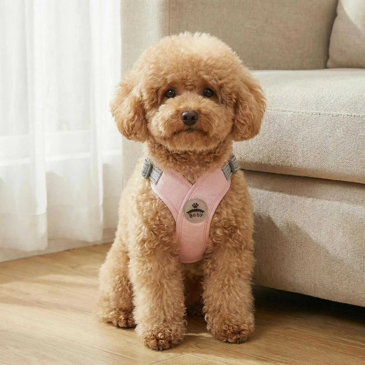 Reflective X-Shape Dog Harness & Leash Set | Adjustable Quick-Release Vest for Small & Medium Dogs