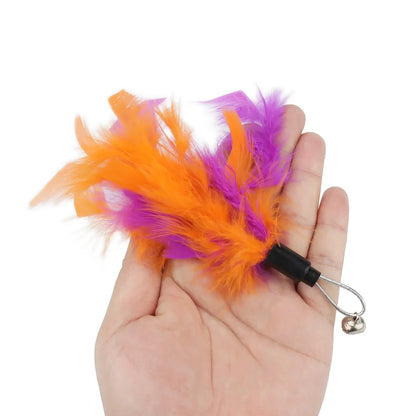 Bright Colour Feather Cat Teaser Replacement Pack (5 Pcs Random Mix)