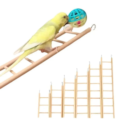 Natural Pine Wood Hanging Ladder Perch for Birds, Parrots & Hamsters