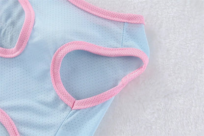 Breathable Mesh Cooling Vest with D-Ring for Small Dogs
