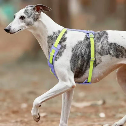 Lightweight No-Pull Reflective Dog & Cat Harness Vest