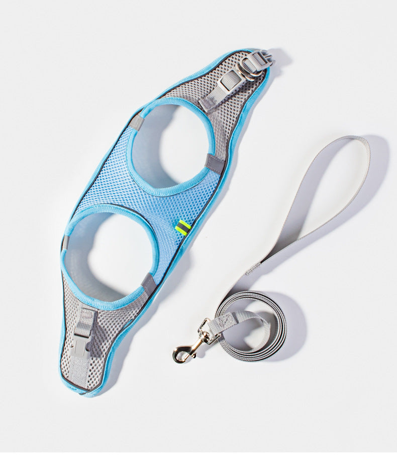 Small Dog Harness and Leash Set