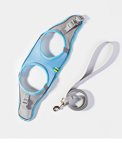 Small Dog Harness and Leash Set