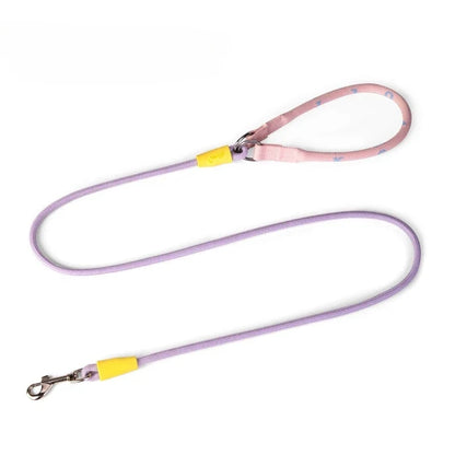 Nylon P-Chain Slip Lead & Collar for Small Dogs