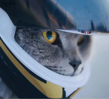 Full Face Pet Motorcycle Helmet for Cats & Small Dogs