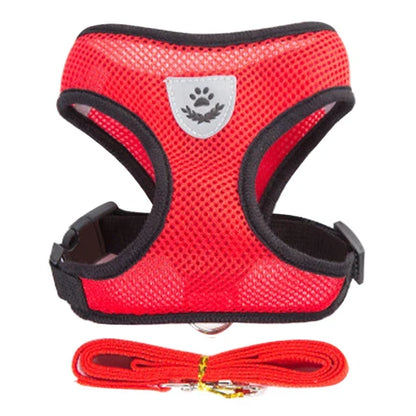 Adjustable Small Dog Harness and Leash Set - Breathable Vest