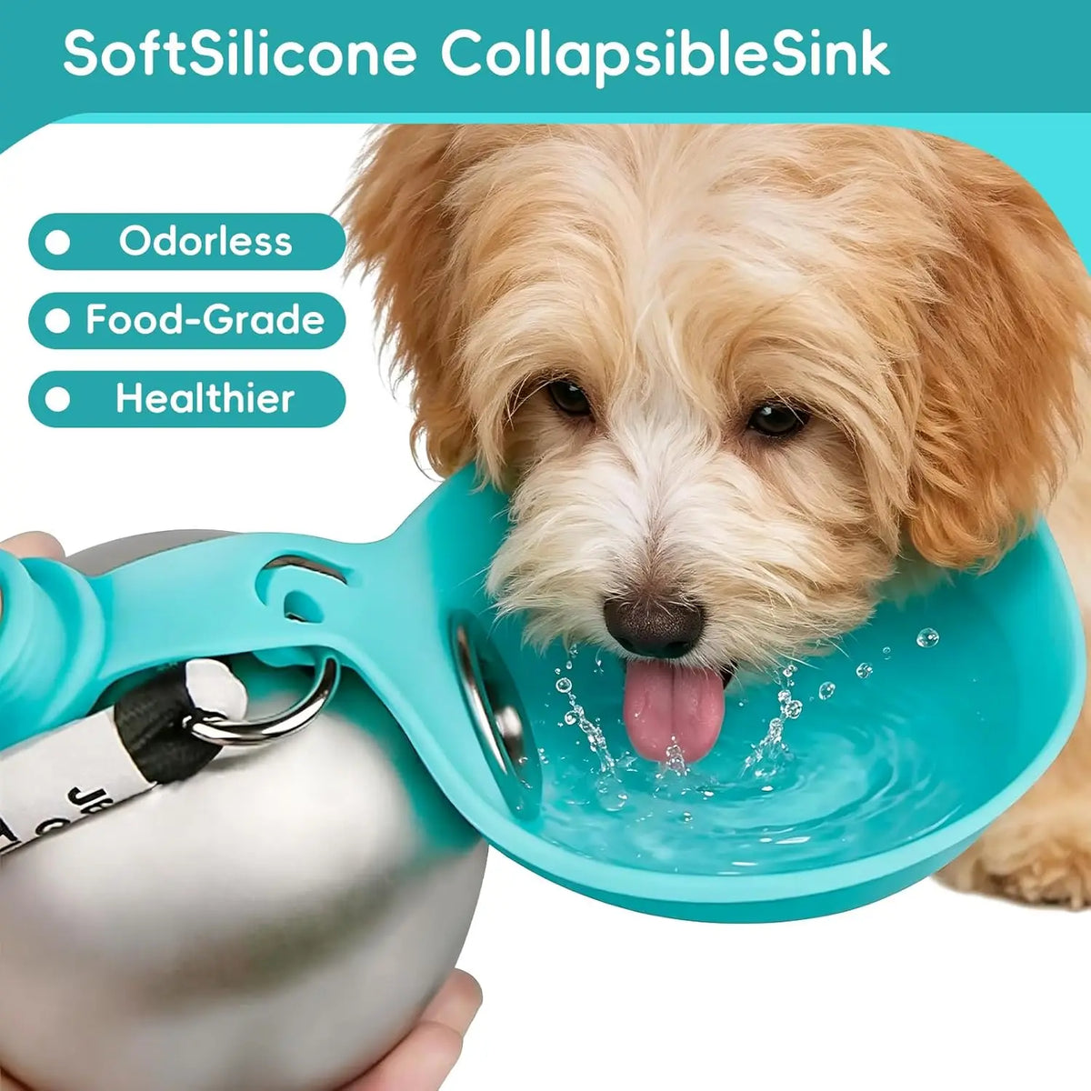2-in-1 Stainless Steel Dog Water Bottle with Foldable Bowl