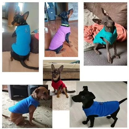 Fleece Vest Jacket for Small Dogs & Cats | Warm Winter Coat for Chihuahuas & French Bulldogs