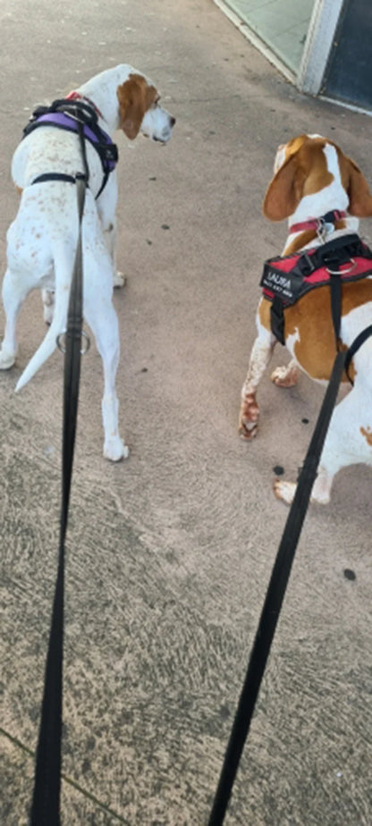Dual Pet Leash 190cm - V-Shape Twin Lead for Two Dogs or Cats