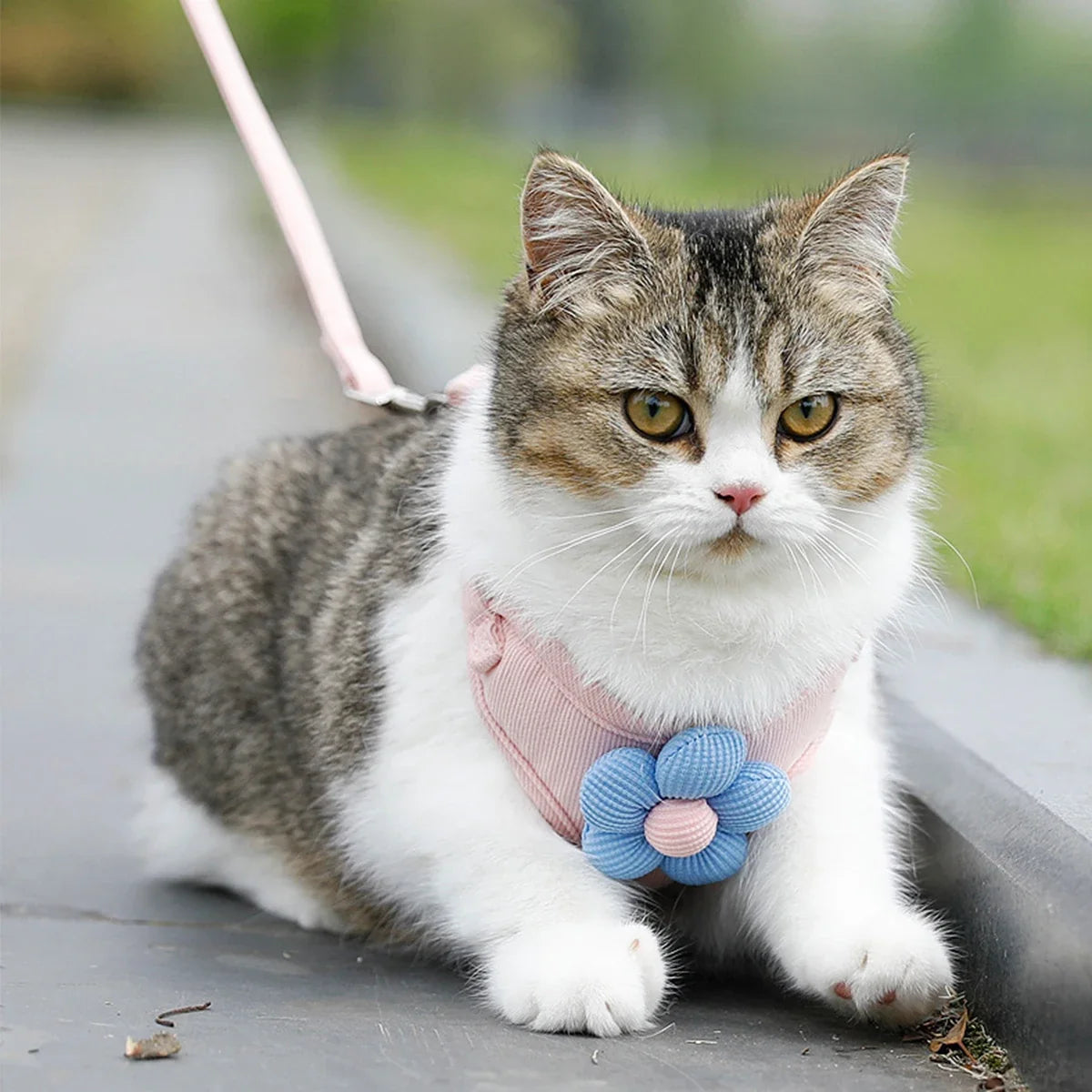 Breathable Adjustable Harness & Leash Set for Cats and Small Dogs